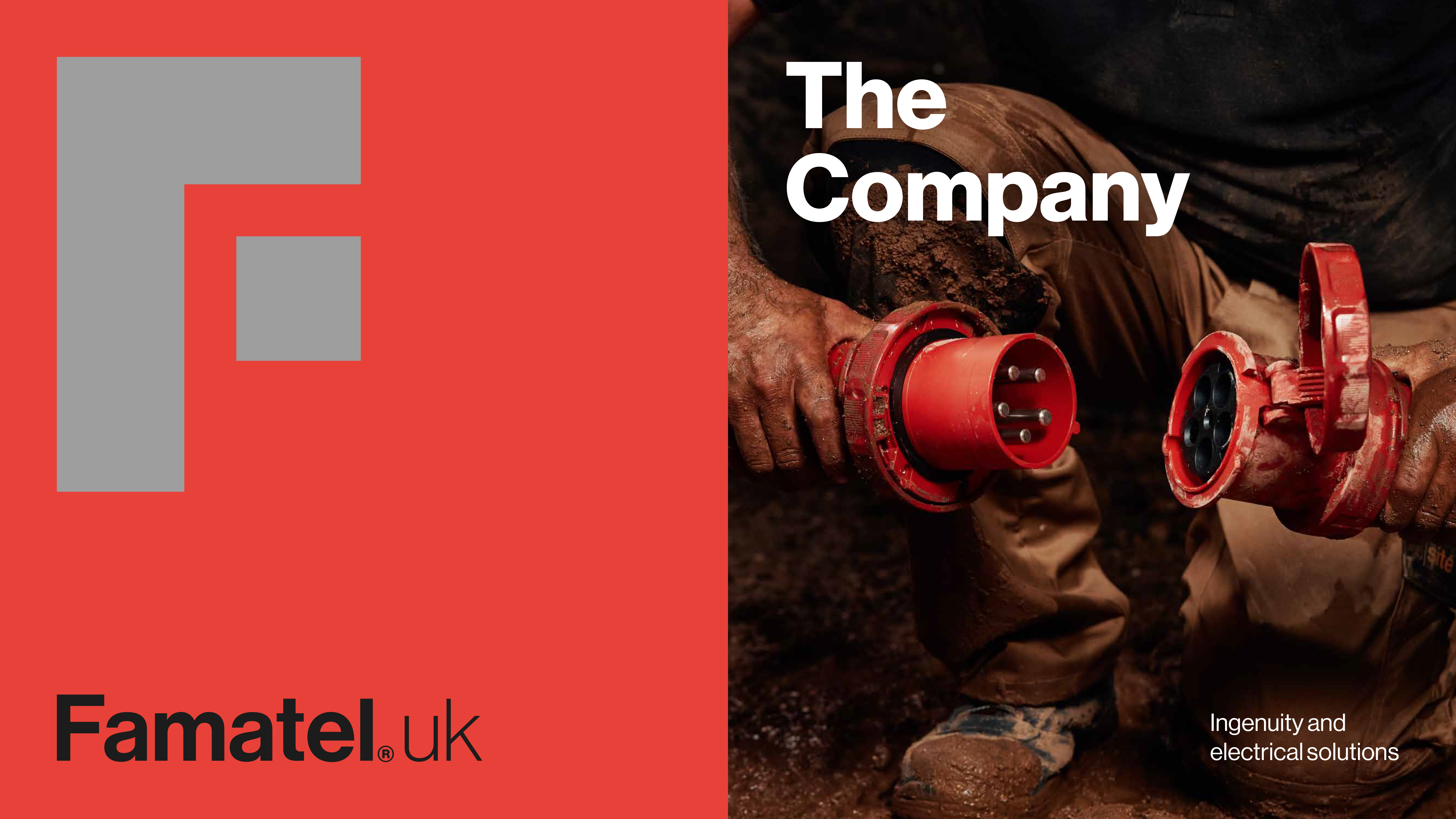 The Company